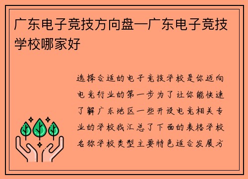 广东电子竞技方向盘—广东电子竞技学校哪家好
